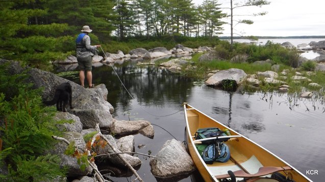 what i did this summer canine canoe adventure in nova scotia part 2