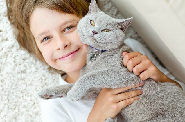 habri grant helps study impact of shelter cat adoption by kids with au