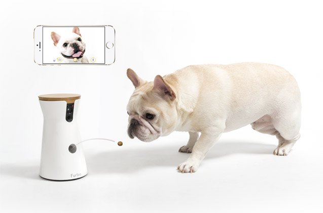 meet the all new ai powered furbo treat tossing pet camera