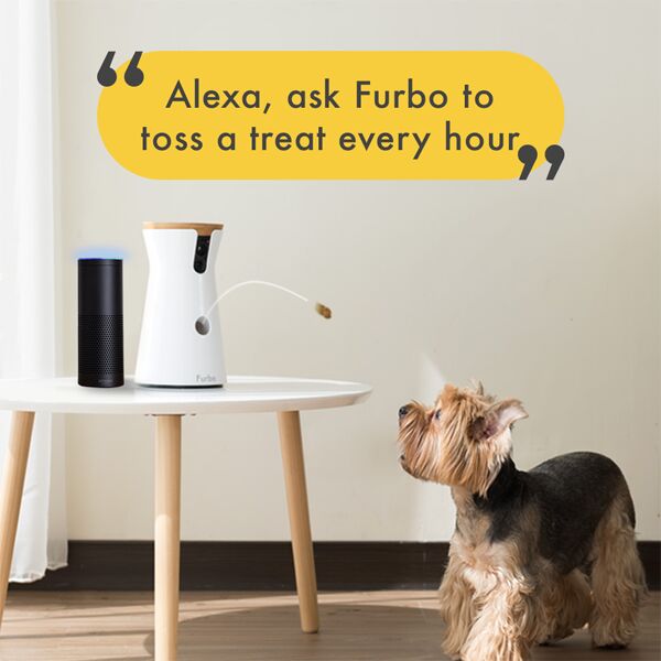 meet the all new ai powered furbo treat tossing pet camera