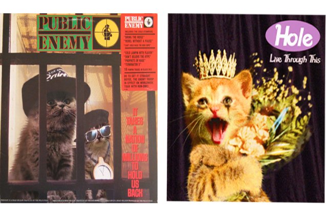 kitten album covers proves that cats rock