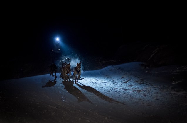 how to choose a headlamp for night time dog mushing