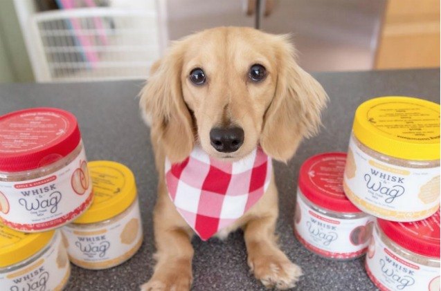 global pet expo homemade treat mixes will have your dog wagging while