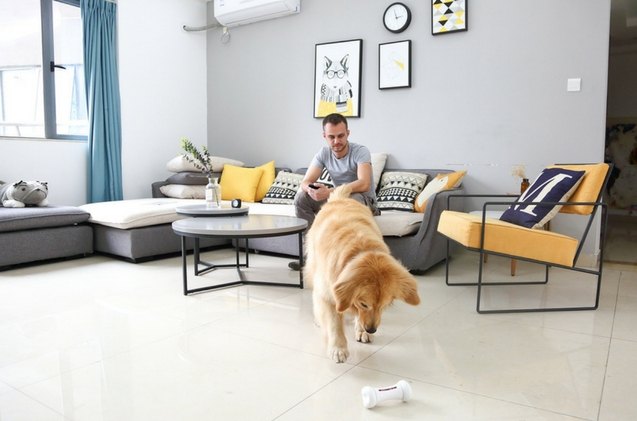 kickstarters wickedbone is a smart interactive dog toy for b