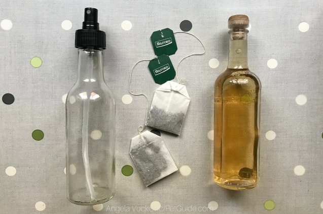 diy itch relief spray for dogs