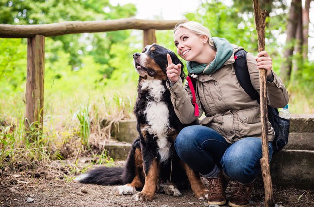 how to deal with dog poop when nature calls during a hike