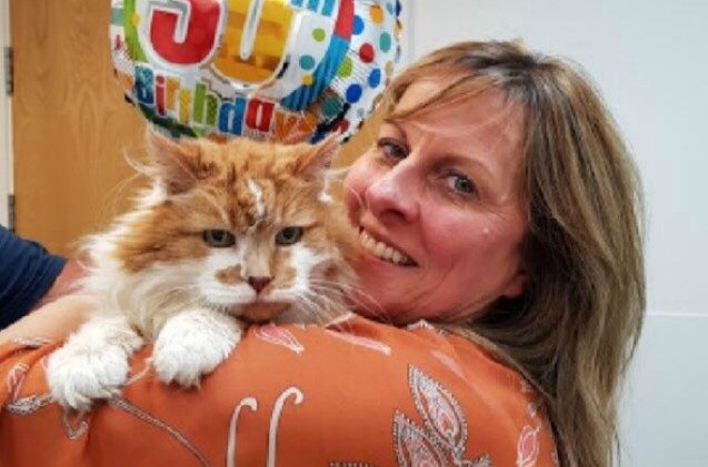 oldest cat in the united kingdom hits the big three oh