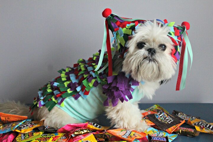 diy pinata dog halloween costume