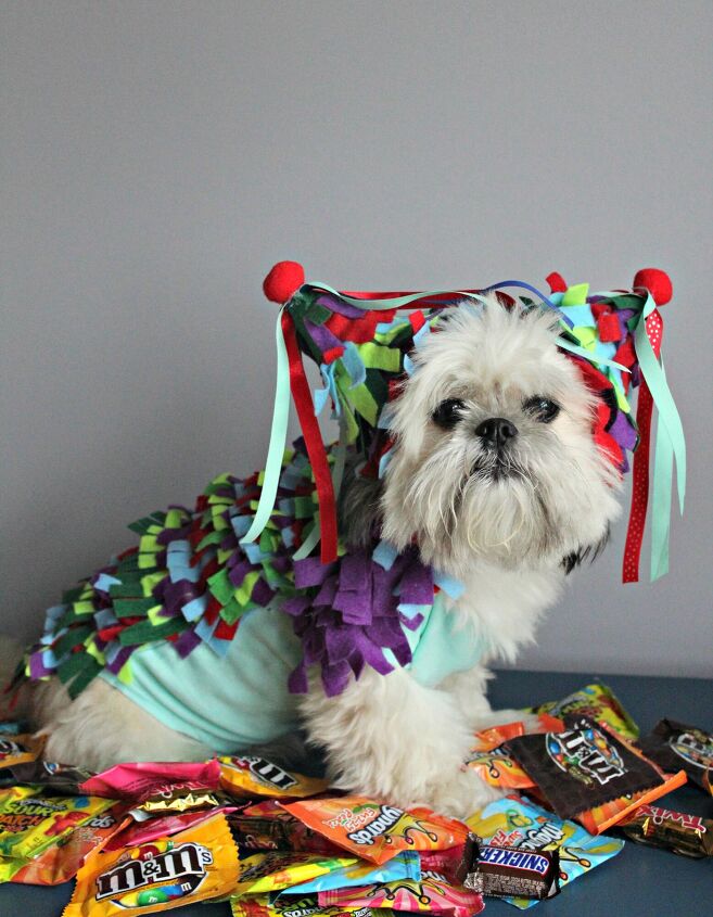 diy pinata dog halloween costume