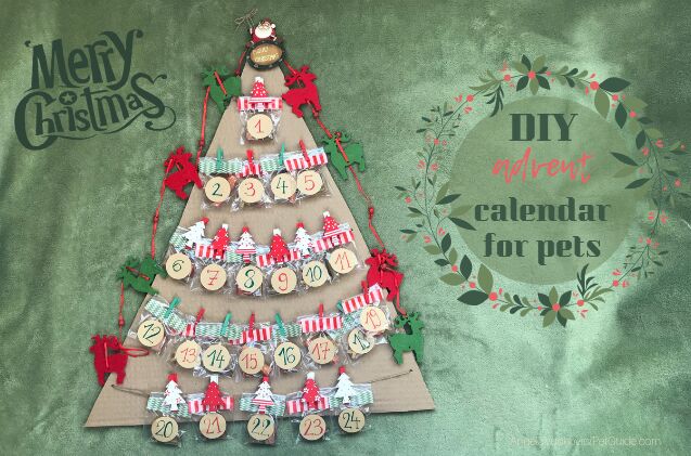 diy advent calendar for pets