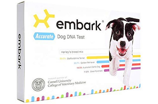 embark dog dna test kit