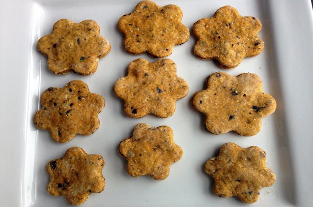 beautiful blueberry and pumpkin dog treat recipe