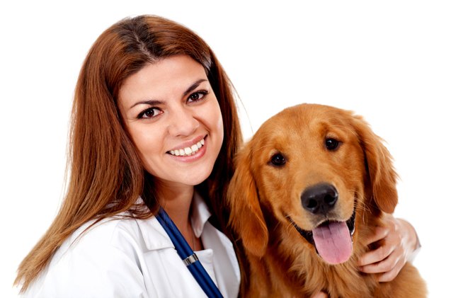 how to get the right dog insurance coverage without overpaying