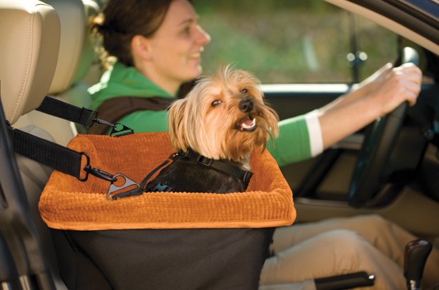 the latest in dog travel essentials from global pet expo