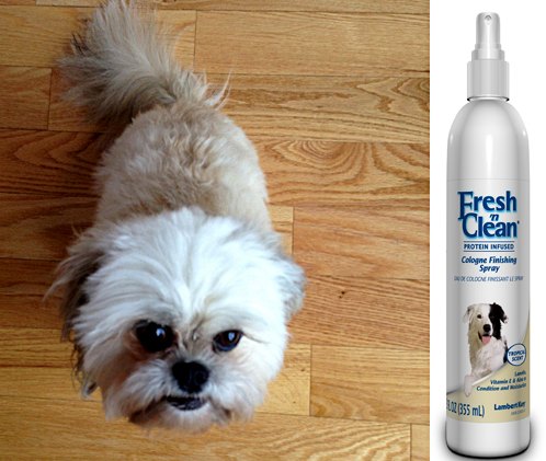 lambert kay fresh n clean protein infused dog shampoo and cologne