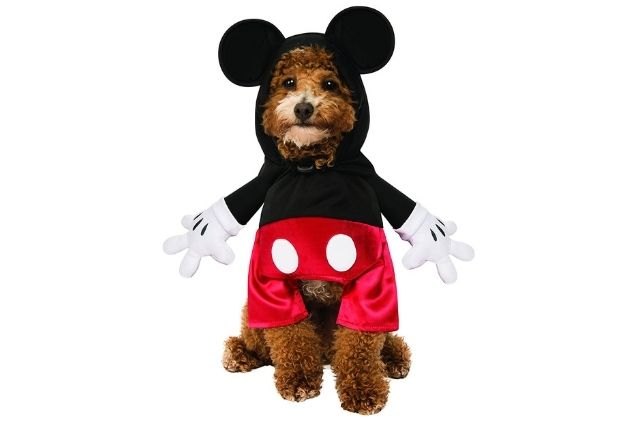 best cute dog halloween costumes