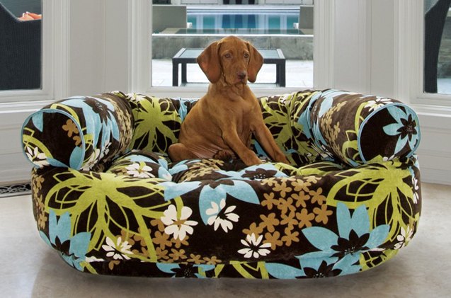 top 10 comfy dog beds