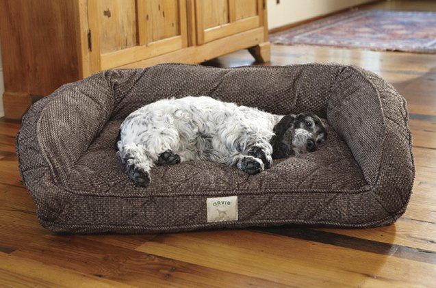 top 10 comfy dog beds