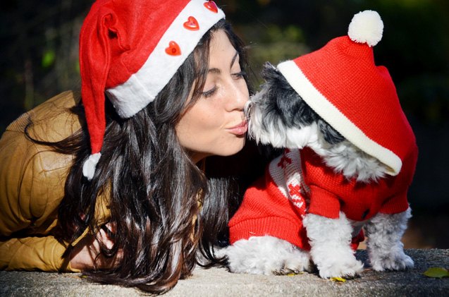 top 10 gifts for dog lovers