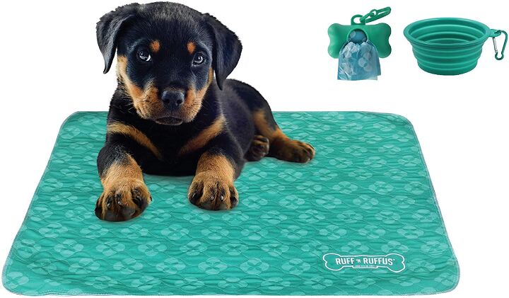 new puppy checklist what you need before you bring him home