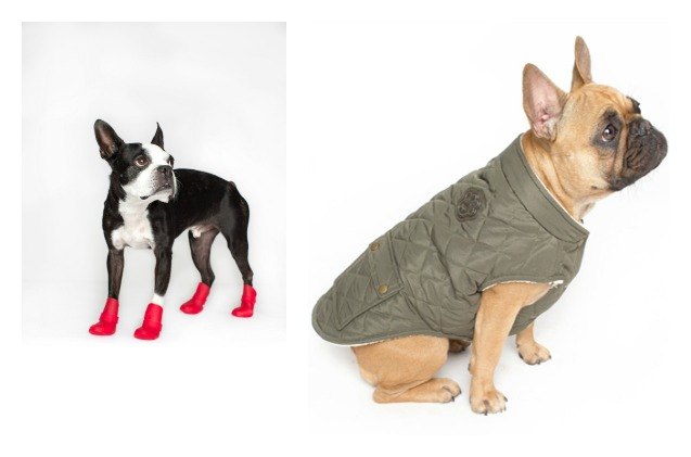 top 10 holiday gift guide for dogs 2014