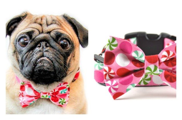 top 10 holiday gift guide for dogs 2014