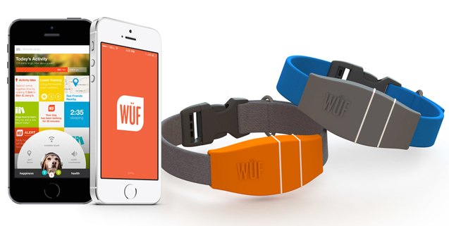 top 10 tech accessories to help fido get fit