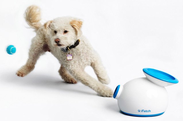 top 10 super fly pet products from skymall