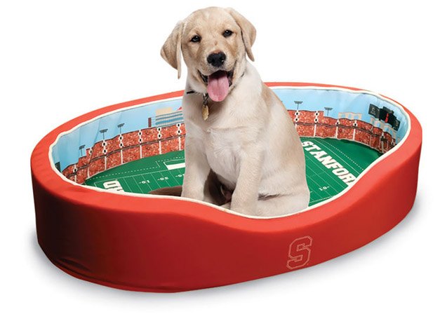 top 10 super fly pet products from skymall