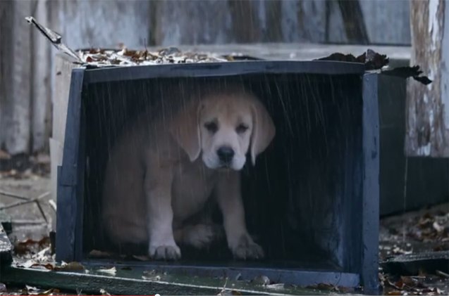 bestbuds are back in budweisers 2015 super bowl commercial video