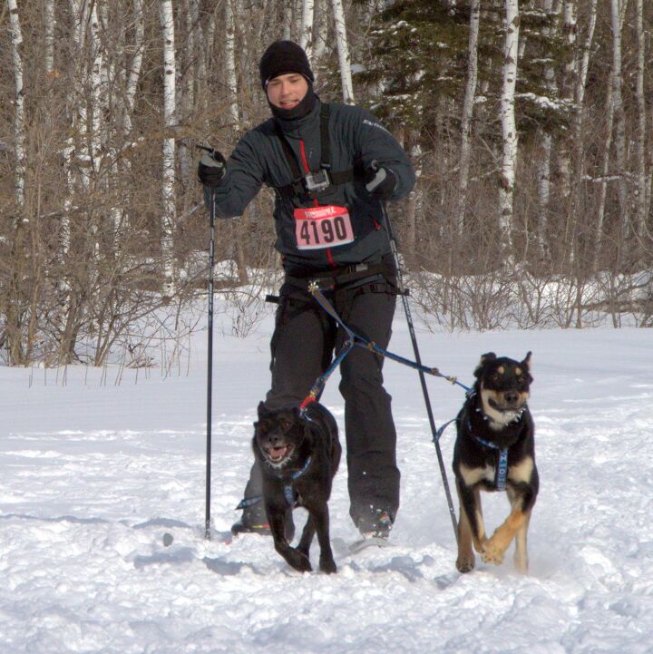 8 tips on how to prepare for your first skijoring race