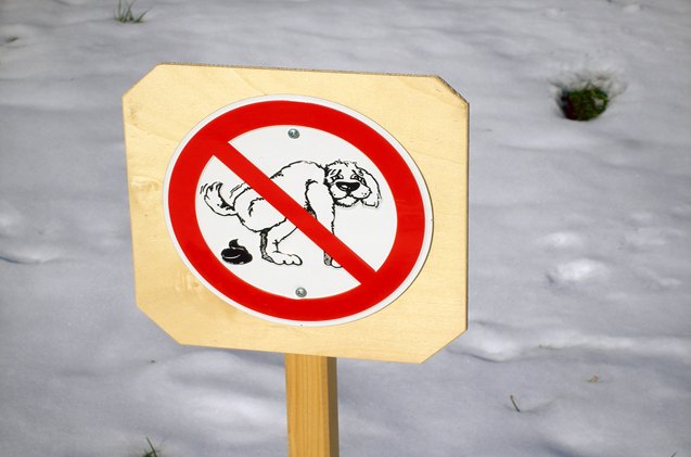 new yorks potential dog poop problem will scare the crap out of you