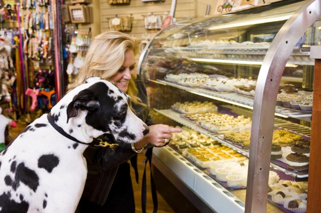 pastry pups the rise of gourmet dog bakeries