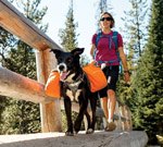 hiking hounds why hiking backpacks for dogs help lighten the load