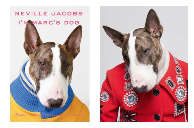 marc jacobs dog debuts power pooch picturebook