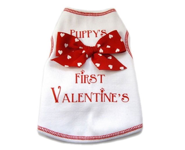 10 valentines day gifts for your puppy love