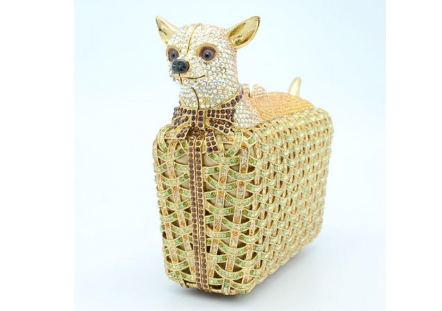 12 chihuahua curios we covet