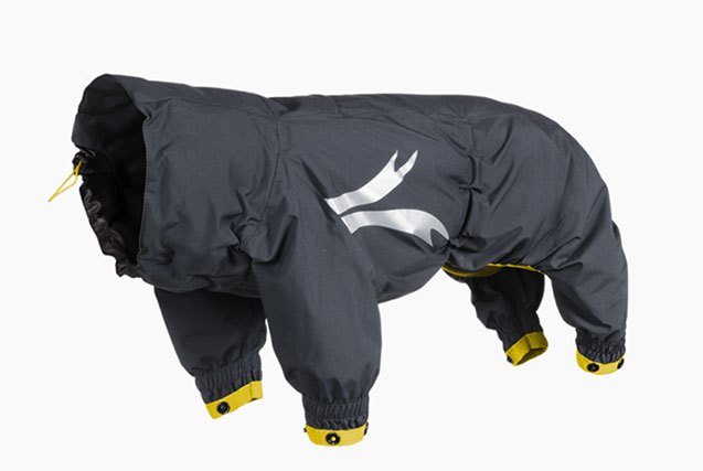 10 misty raincoats to keep your pooch dry