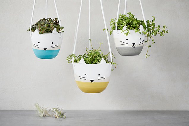 8 pet planters thatll turn your thumb green