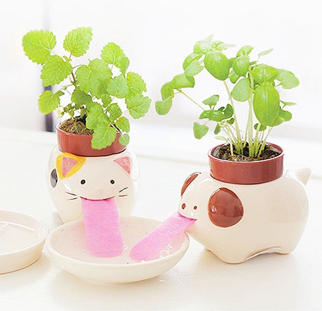 8 pet planters thatll turn your thumb green