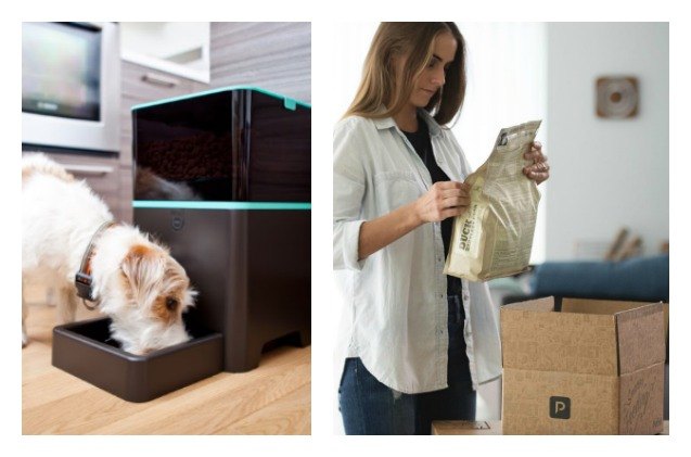 petnets smartdelivery will now order kibble when youre running l