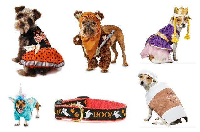 15 dastardly dog costumes for a spooktacular halloween