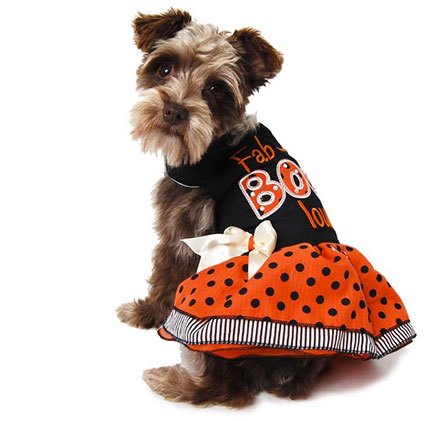 15 dastardly dog costumes for a spooktacular halloween