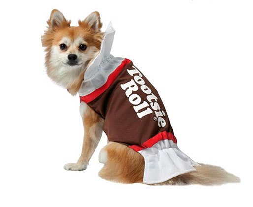 15 dastardly dog costumes for a spooktacular halloween