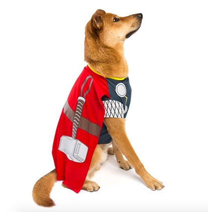 15 dastardly dog costumes for a spooktacular halloween