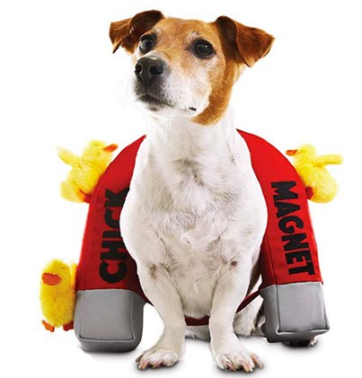 15 dastardly dog costumes for a spooktacular halloween