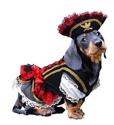 15 dastardly dog costumes for a spooktacular halloween