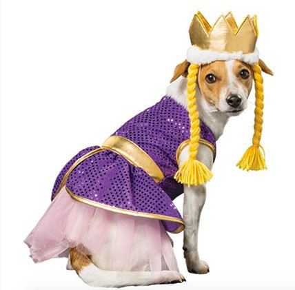 15 dastardly dog costumes for a spooktacular halloween