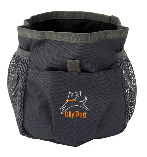 7 gifts for people who love dog training