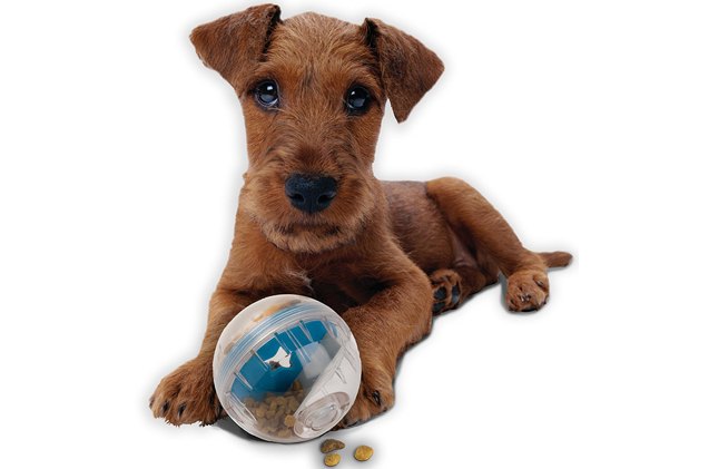 pet zone iq treat ball exercises your dogs brain